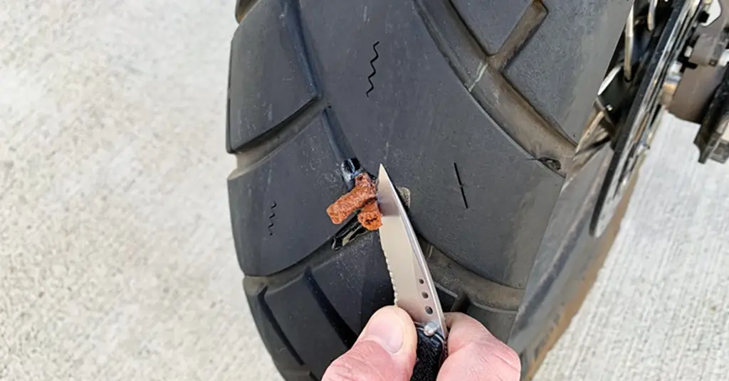 Apa Itu Cacing Tayar Motor Apa Itu Cacing Tayar Motor