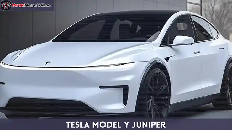 Tesla Model Y Juniper